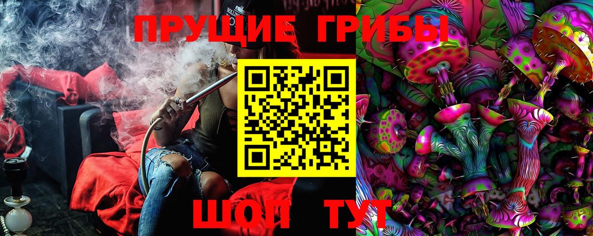 Псилоцибиновые грибы Cubensis Калуга